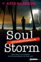 [Soul 03] • Soul Storm